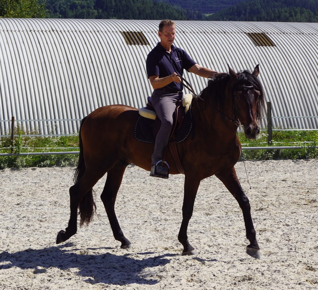 Vorzeigen und dem Pferd helfen